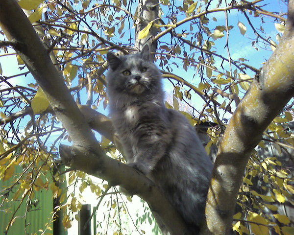 Евгения Клепач