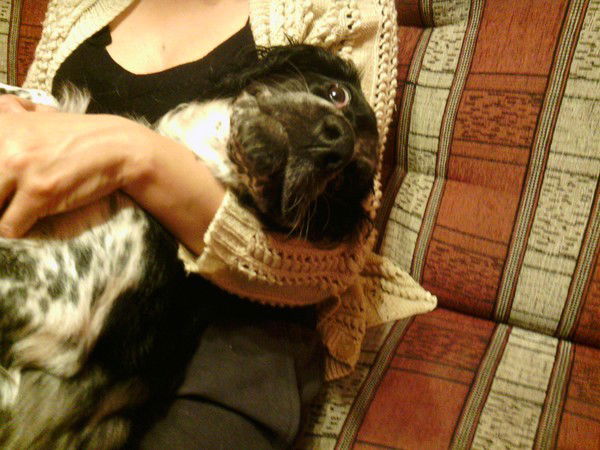 Сергей Могилин