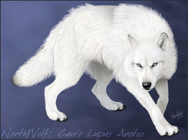 Василий Корнюхин