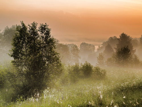 Anastasia Lavrukhina