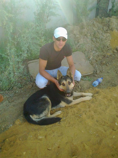 Александр Ромаченко