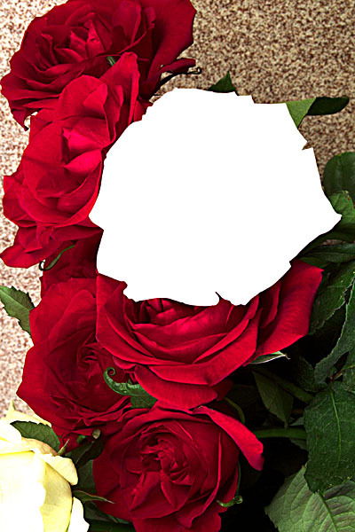 Гульсум Иса