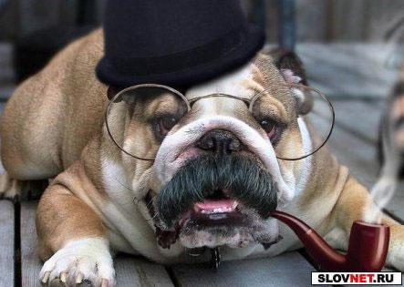 Сергей Сингер