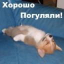 Александр Культура