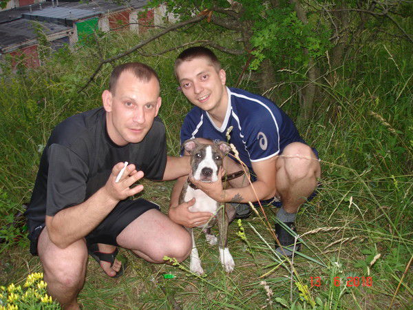 Колян Францев