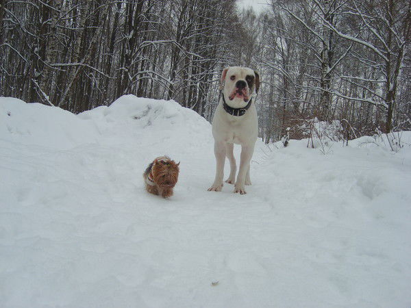 Ирина Медведь