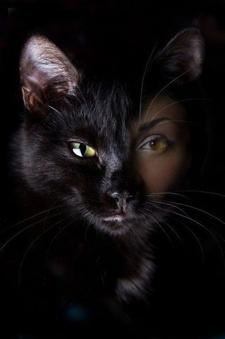 Светлана ***