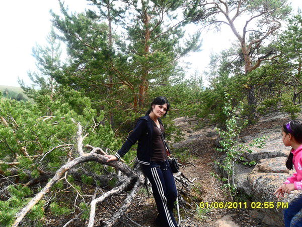 Ястребова Надежда