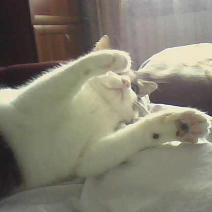 Марина Дьякова