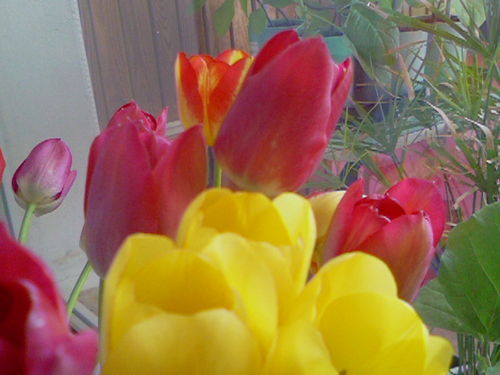 Оксана Кононова