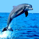 Otpusk - Anapa.ru