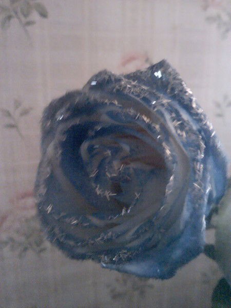 Максим Макаров