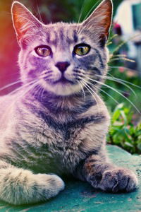 Буняша Наша