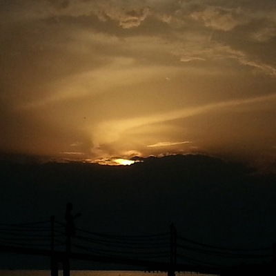 Елена Ледяева