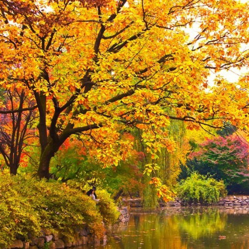 Мария Кадынцева