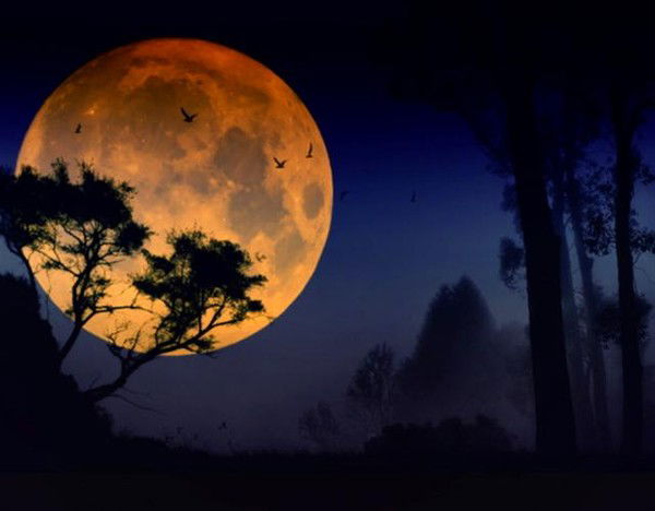 Хадижат Раджабова