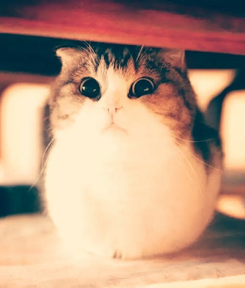 Иван Иванов