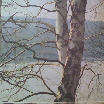 Юлдаш Якубов