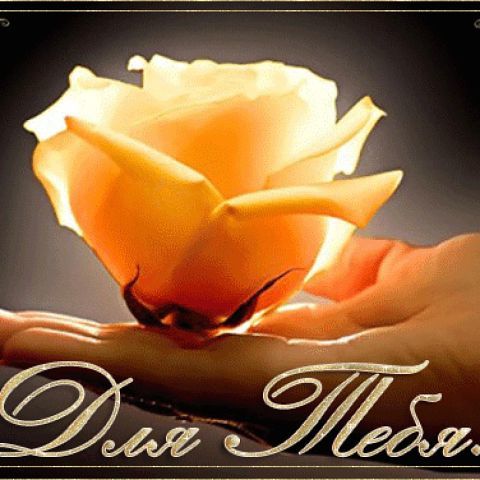 Наталья Бриц