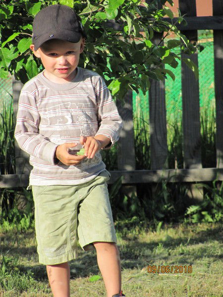 Дмитрий Соколов