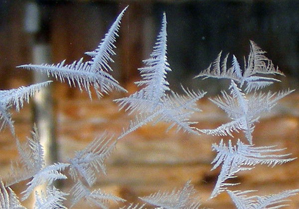 Ольга Невейкина