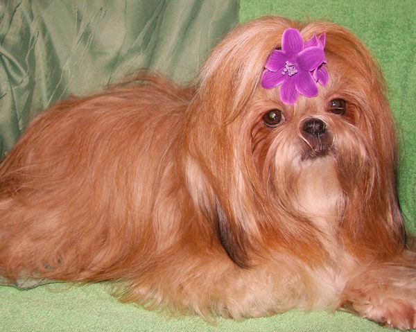 Наталия Красновская