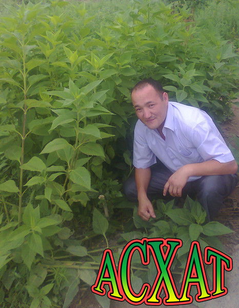 Асхат *********