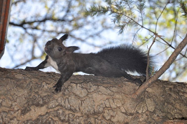 Татьяна Пирогова