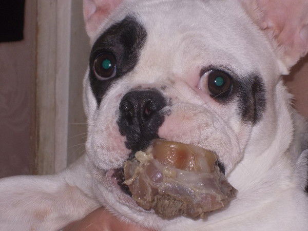 Елена Козулева