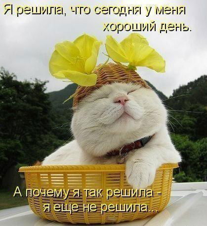 весна с ума сведет
