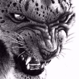 Андрей Брезгулевский