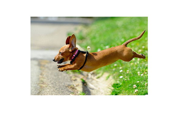 Анастасия Руденко