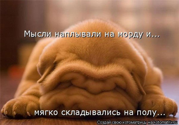 Светлана Голубева