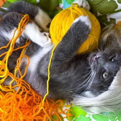 Мария Юдина