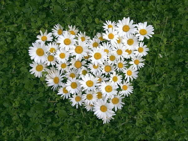 Ирина Кижаева