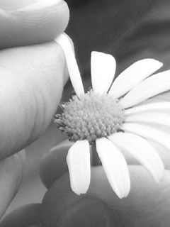 Настёна Чунихина