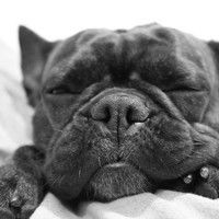 Юрий Перебейнос