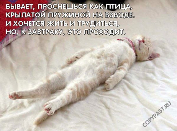 Альбина Туктарова