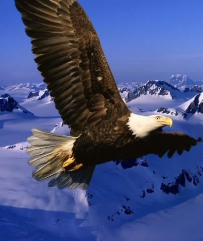 Aртур Байханов