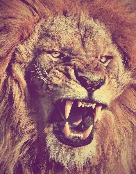 Адиль Алашаев