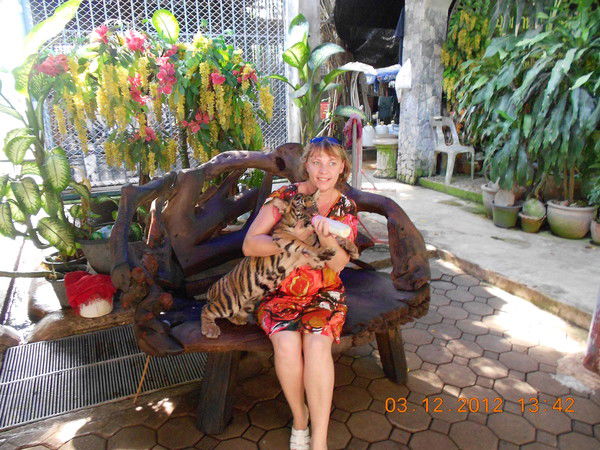 Елена Сотникова