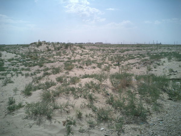 Тиркеш Мурадов