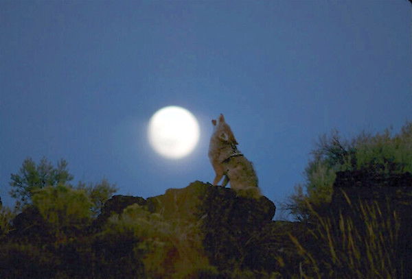 Александр ???????