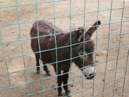 Евгений Казачков