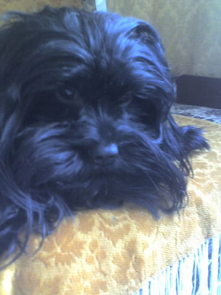 Юрий Богданович