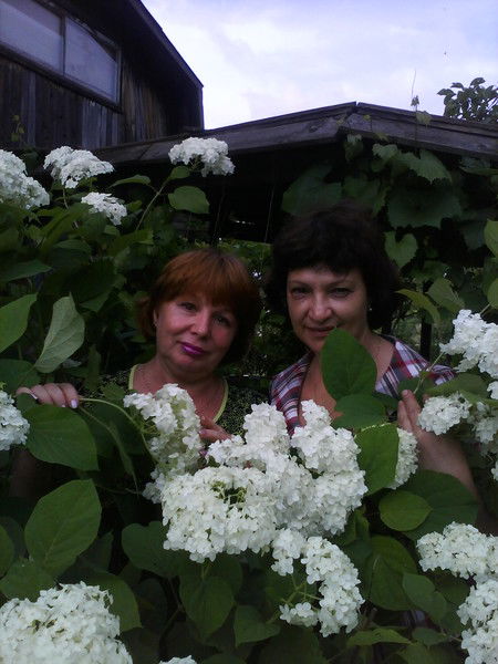 Татьяна Василенко