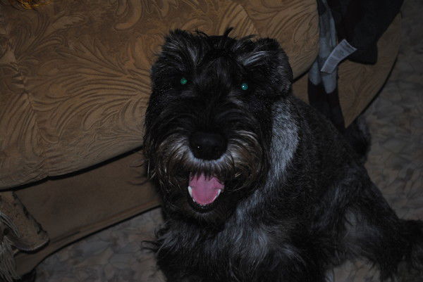 Лариса Еремина