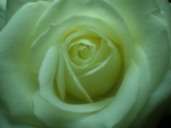 Татьяна Мазур