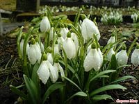 Татьяна Садкова