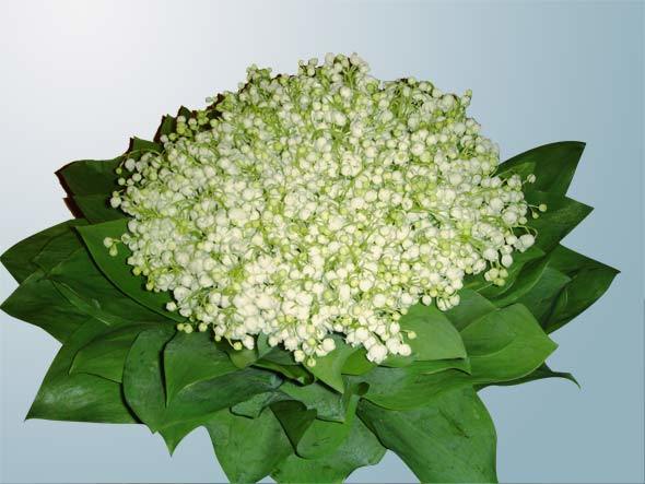 Анатолий Бояркин